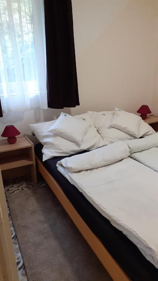 Borostyán Vendégház Tiszaug Esterno foto