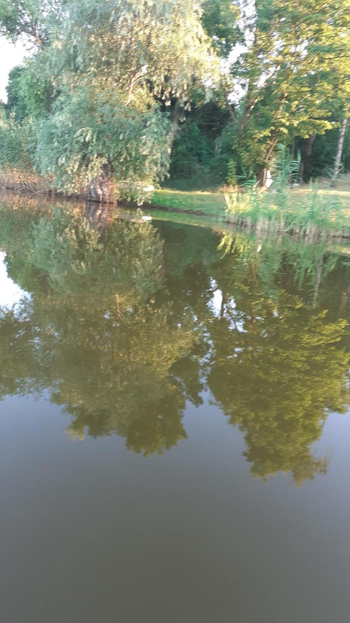 Borostyán Vendégház Tiszaug Esterno foto