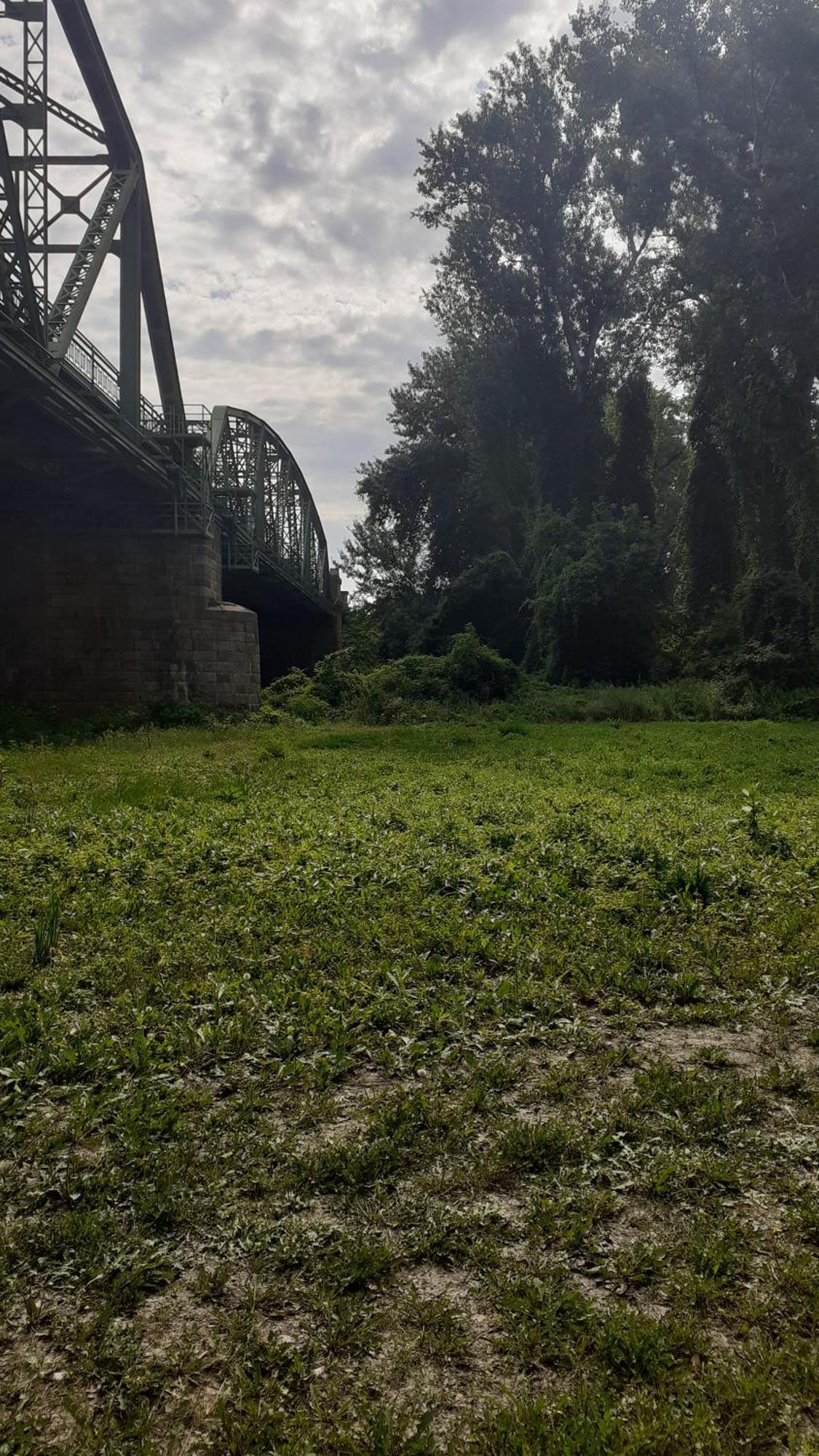 Borostyán Vendégház Tiszaug Esterno foto